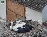 Capi_Dubne_20250716_154503.jpg