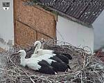 Capi_Dubne_20250716_155502.jpg