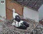Capi_Dubne_20250716_161002.jpg