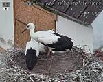 Capi_Dubne_20250716_163002.jpg