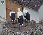 Capi_Dubne_20250716_164502.jpg