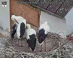 Capi_Dubne_20250716_165503.jpg