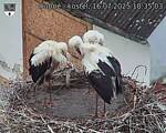 Capi_Dubne_20250716_183503.jpg