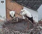 Capi_Dubne_20250716_190503.jpg