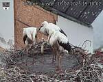 Capi_Dubne_20250716_191002.jpg