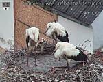 Capi_Dubne_20250716_193003.jpg