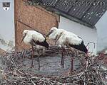 Capi_Dubne_20250716_194003.jpg