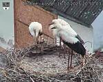 Capi_Dubne_20250716_205003.jpg