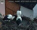 Capi_Dubne_20250716_211503.jpg