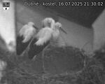 Capi_Dubne_20250716_213003.jpg
