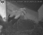 Capi_Dubne_20250716_213503.jpg