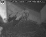Capi_Dubne_20250716_214002.jpg