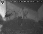 Capi_Dubne_20250716_214503.jpg