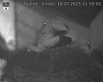 Capi_Dubne_20250716_215002.jpg