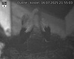 Capi_Dubne_20250716_215503.jpg