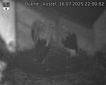 Capi_Dubne_20250716_220002.jpg