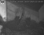 Capi_Dubne_20250716_221003.jpg
