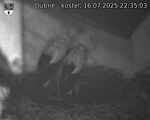 Capi_Dubne_20250716_223503.jpg