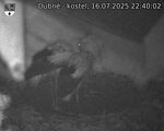 Capi_Dubne_20250716_224002.jpg