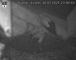 Capi_Dubne_20250716_230003.jpg