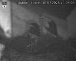Capi_Dubne_20250716_230503.jpg