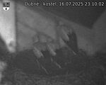 Capi_Dubne_20250716_231002.jpg
