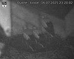 Capi_Dubne_20250716_232002.jpg