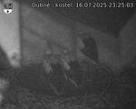 Capi_Dubne_20250716_232503.jpg