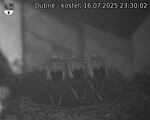 Capi_Dubne_20250716_233002.jpg