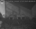 Capi_Dubne_20250717_000003.jpg