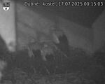 Capi_Dubne_20250717_001503.jpg