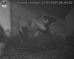 Capi_Dubne_20250717_004502.jpg