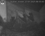 Capi_Dubne_20250717_005503.jpg