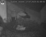 Capi_Dubne_20250717_010002.jpg
