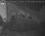 Capi_Dubne_20250717_010503.jpg