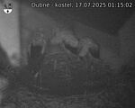 Capi_Dubne_20250717_011502.jpg