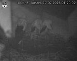 Capi_Dubne_20250717_012002.jpg