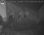 Capi_Dubne_20250717_012503.jpg