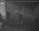 Capi_Dubne_20250717_024002.jpg