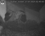 Capi_Dubne_20250717_024503.jpg