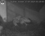 Capi_Dubne_20250717_032003.jpg