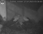 Capi_Dubne_20250717_033003.jpg