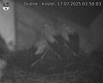 Capi_Dubne_20250717_035003.jpg
