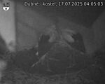 Capi_Dubne_20250717_040503.jpg