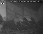 Capi_Dubne_20250717_041002.jpg