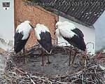 Capi_Dubne_20250717_055003.jpg