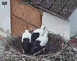 Capi_Dubne_20250717_114003.jpg