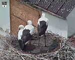 Capi_Dubne_20250717_135503.jpg