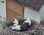Capi_Dubne_20250717_140502.jpg