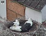 Capi_Dubne_20250717_143503.jpg